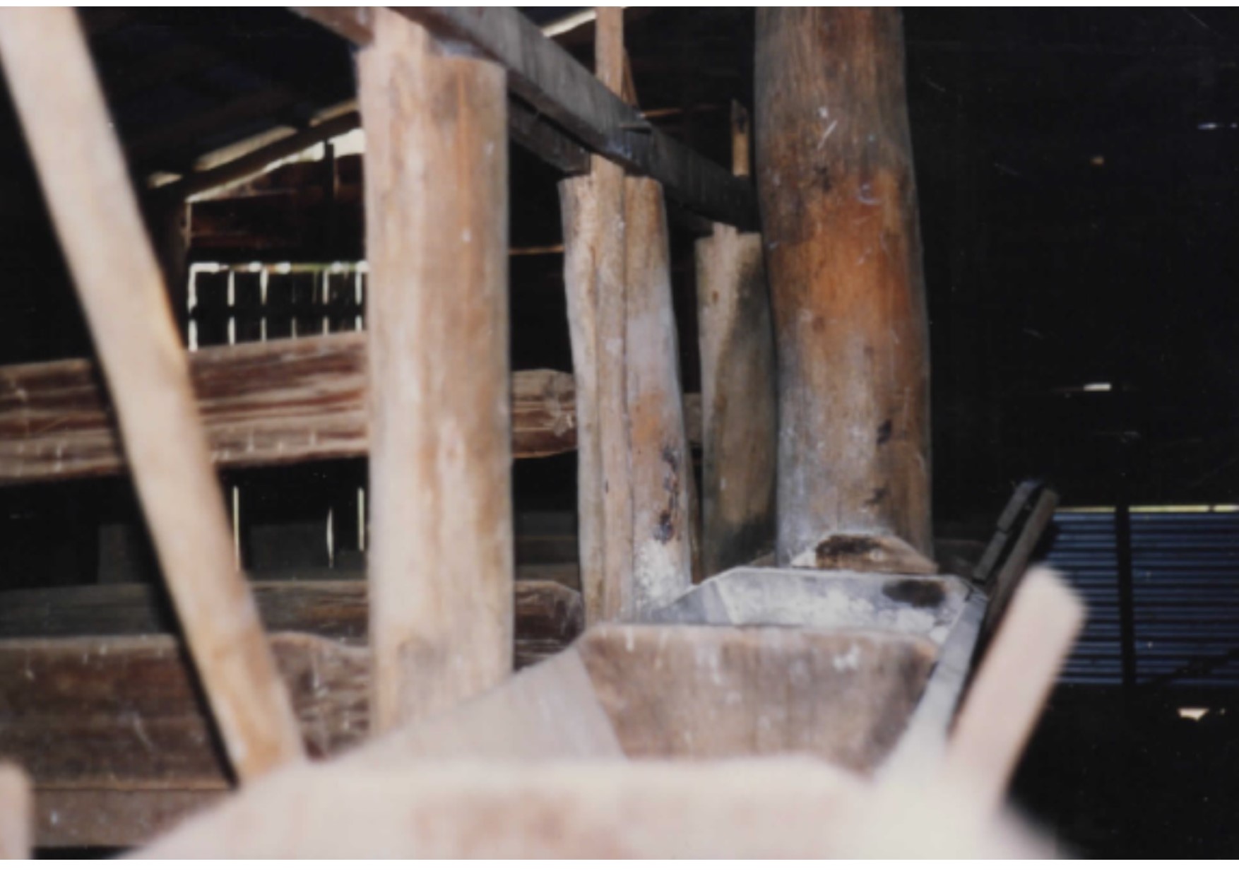 7 dairy shed 1 cropped